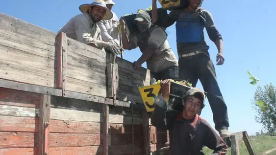 Un cambio legal da por terminado un viejo reclamo de cosechadores temporarios