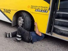 Imagen ilustrativa Imagen ilustrativa