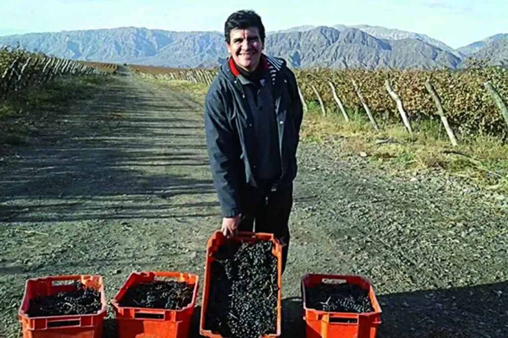 Creen que esta semana se define al sanjuanino vicepresidente del INV