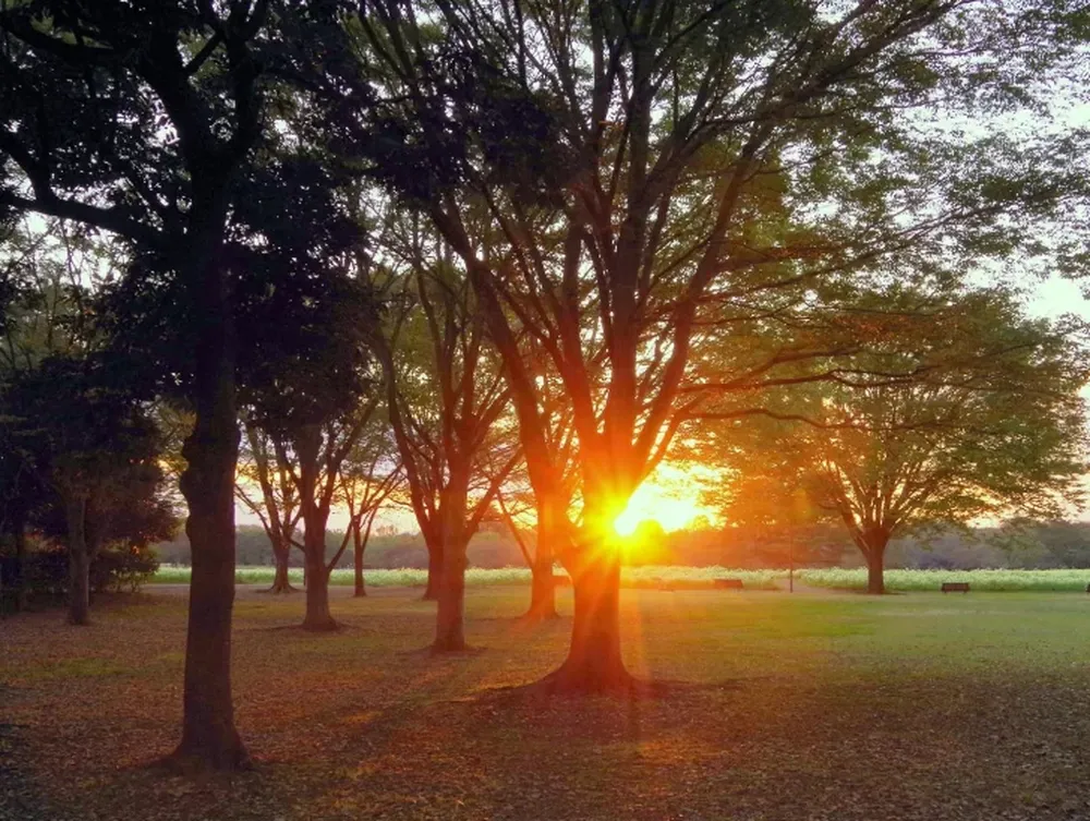 Un sanjuanino busca cambiar el concepto de la muerte: sin lápidas y con urnas ecológicas