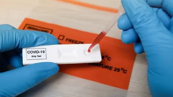 Un estudio reveló cuánto duran los anticuerpos en quienes ya tuvieron coronavirus