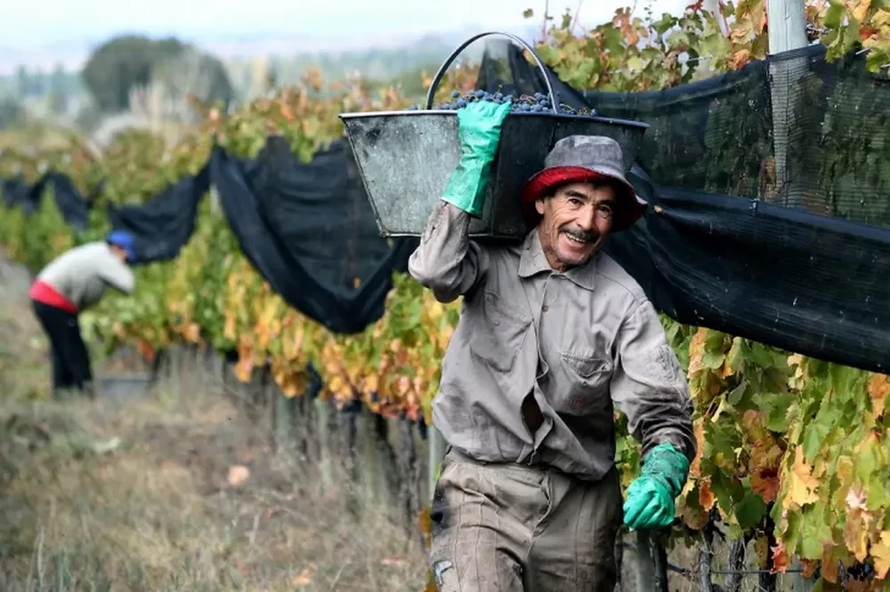 Los trabajadores rurales tendrán un 19,8% de aumento en remuneraciones mínimas