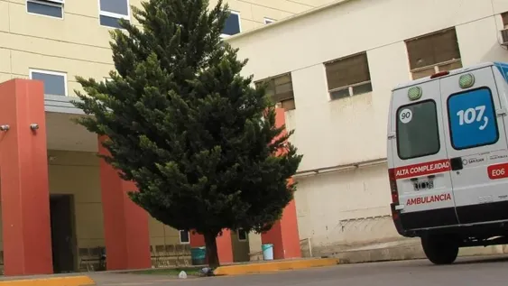 Un menor quedó internado por ingerir una planta “tóxica”