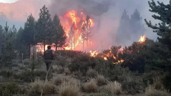 Fuego sin control en El Bolsón