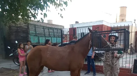 Tres menores fueron sorprendidos guiando caballos robados
