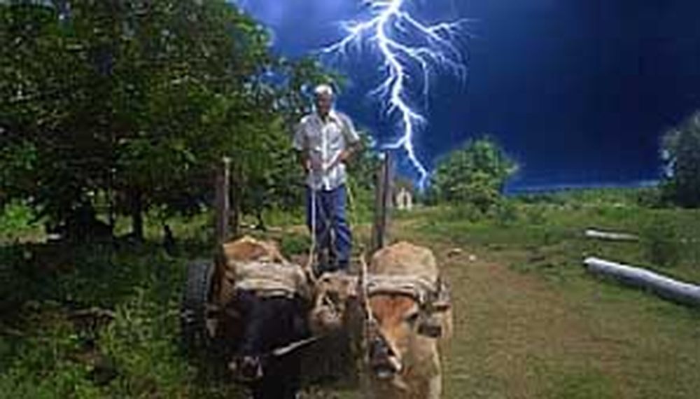 Sobrevivió a seis rayos