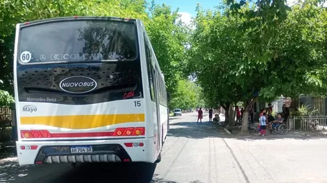 Foto: Gentileza Antártida Medios.