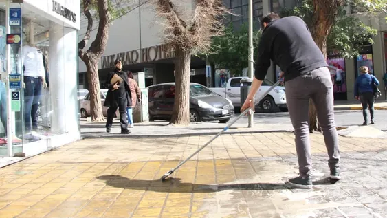 Con un novedoso método de inyecciones, buscarán terminar con la peste de las tipas