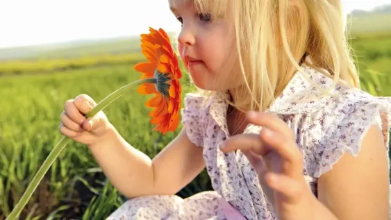 La vida al aire libre, es vital