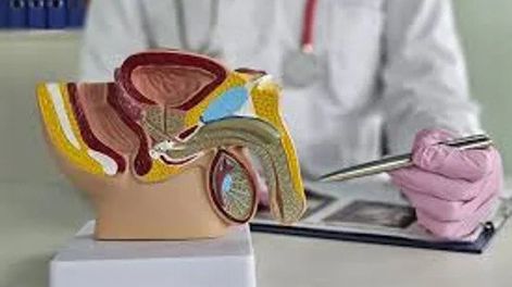 ES LEGAL Y GRATUITA  en Argentina. La vasectomía se realiza de manera ambulatoria y bajo anestesia local. No afecta la función sexual.