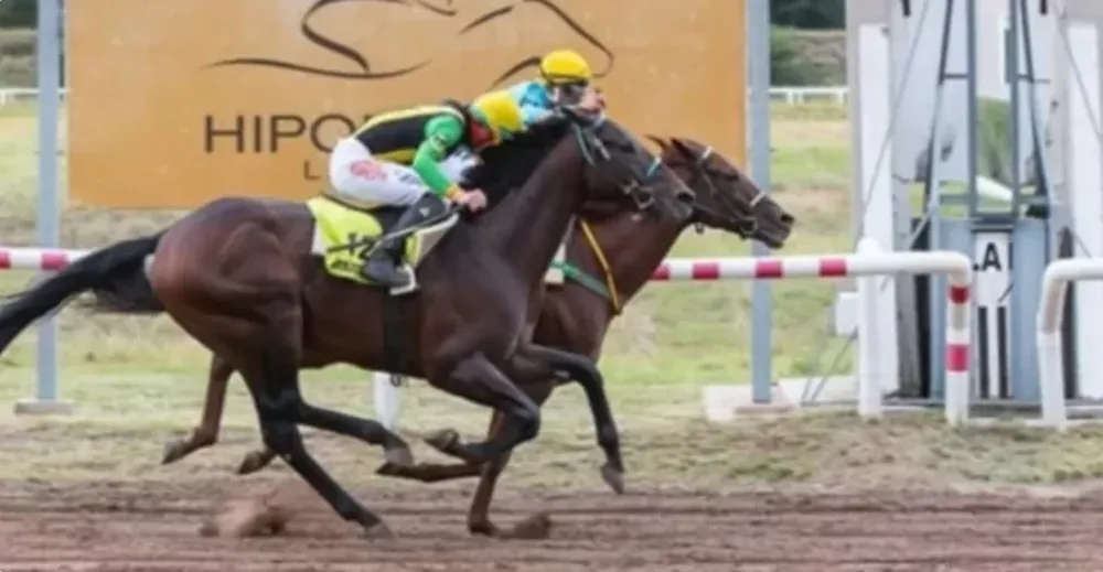 Endo Verde, es el candidato. La imagen pertenece a su mayor victoria, el pasado 30 de abril en el Gran Premio Vicente Dupuy. Venció por una cabeza al mendocino Code Braker