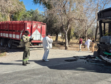 violento choque entre un colectivo de la red tulum y un camion cargado con chanchos en ruta 20