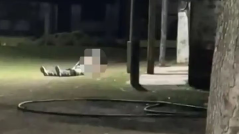 Horror: un joven con discapacidad fue abusado, difundieron los videos del ataque pero no hay acusados