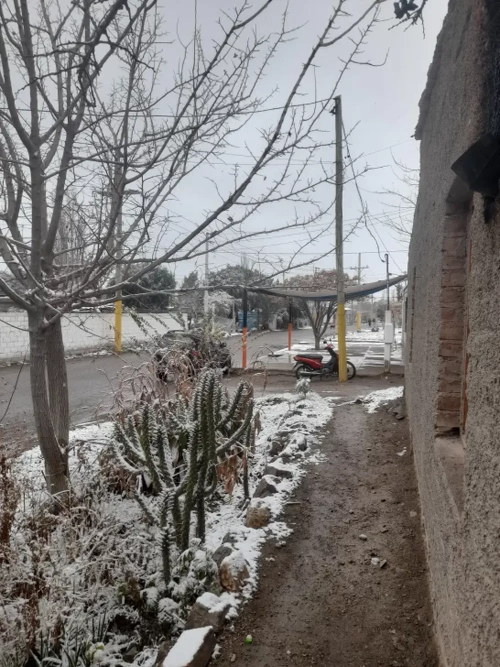 Ola polar en San Juan: qué pasará con las clases de este martes