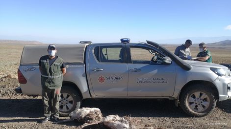 Ambiente realizó un operativo contra la caza furtiva en Angualasto, departamento Iglesia.