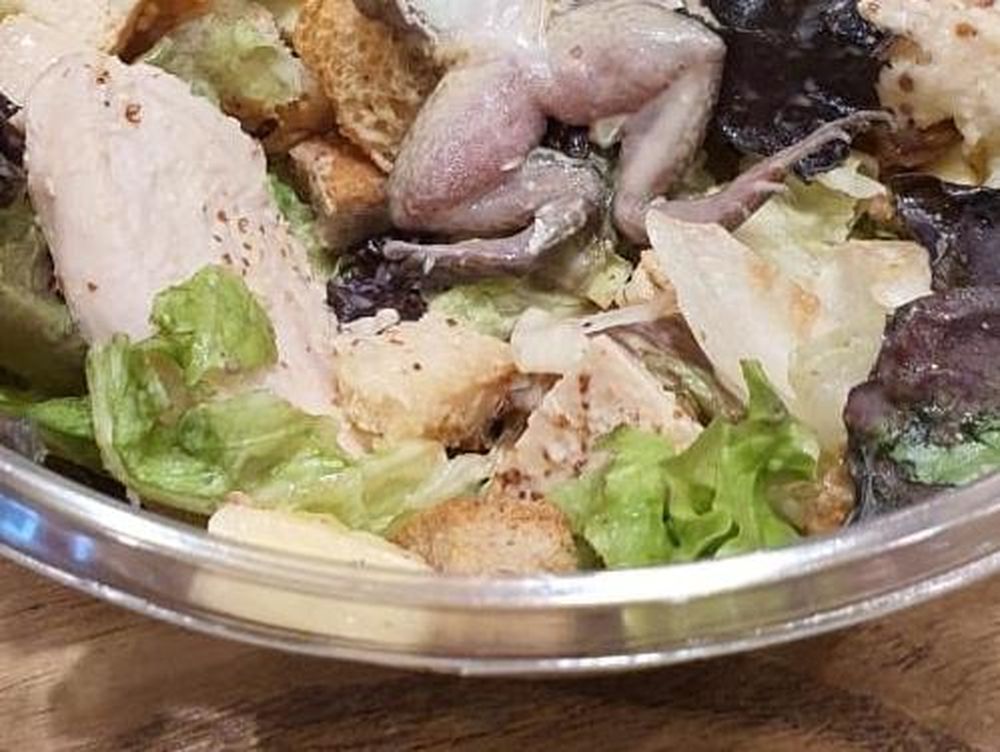 Fueron a comer a un shopping y encontraron algo desagradable en la ensalada