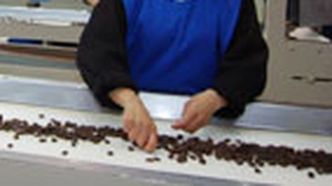 Agenda para el desarrollo en el sector agroindustrial sanjuanino