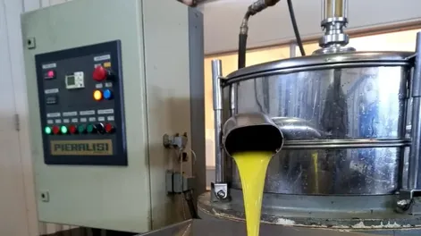 Finalizó la cosecha 2021 de aceite de oliva virgen extra sanjuanino