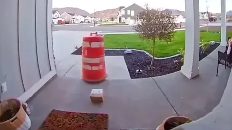 Se disfrazó de cono para llevarse un paquete de la puerta de una casa