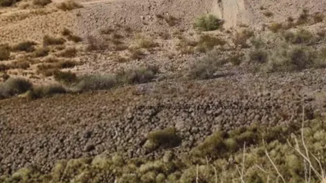 Avanzan obras en Sarmiento para mejorar el servicio eléctrico para hogares, comercios y emprendimientos productivos