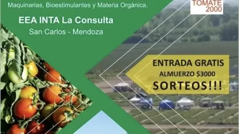 Día de Campo de Tomate 2000, el 16/2