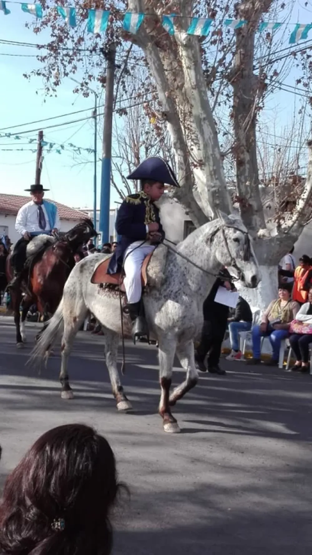 Con un imponente desfile, San Juan homenajeó a San Martín en Albardón