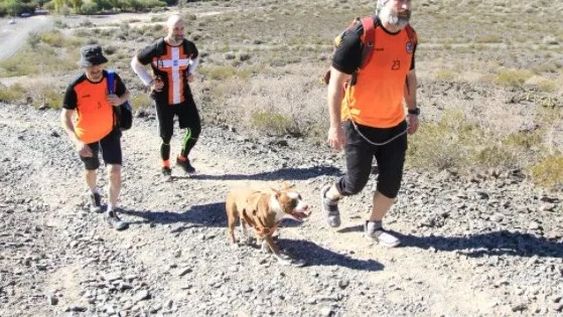 Cómo afectan a los distintos deportes las nuevas restricciones por Covid