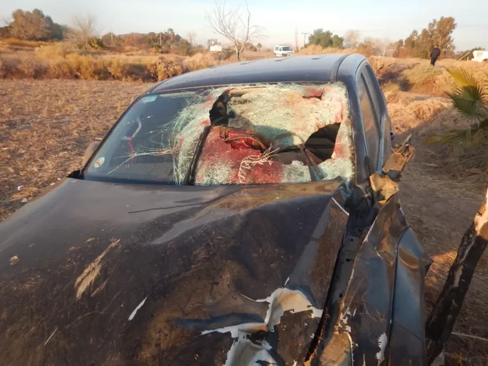 Gentileza: Vialidad Nacional.-