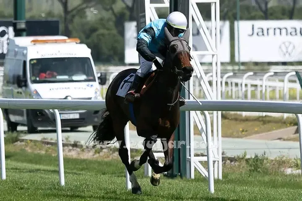 Corriendo en el Hip&oacute;dromo de Madrid.
