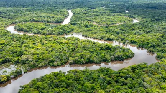 hallazgo historico en la amazonia: descubren mas de 20 mil estructuras de una civilizacion perdida