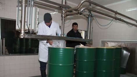 Mosto orgánico: una alternativa a la crisis vitivinícola local