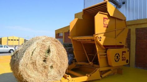 “Debemos apostar a alimentar grandes naciones como China”