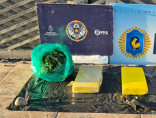 Los ladrillos de cocaína y las hojas de coca secuestrados por la Policía Federal.&nbsp;