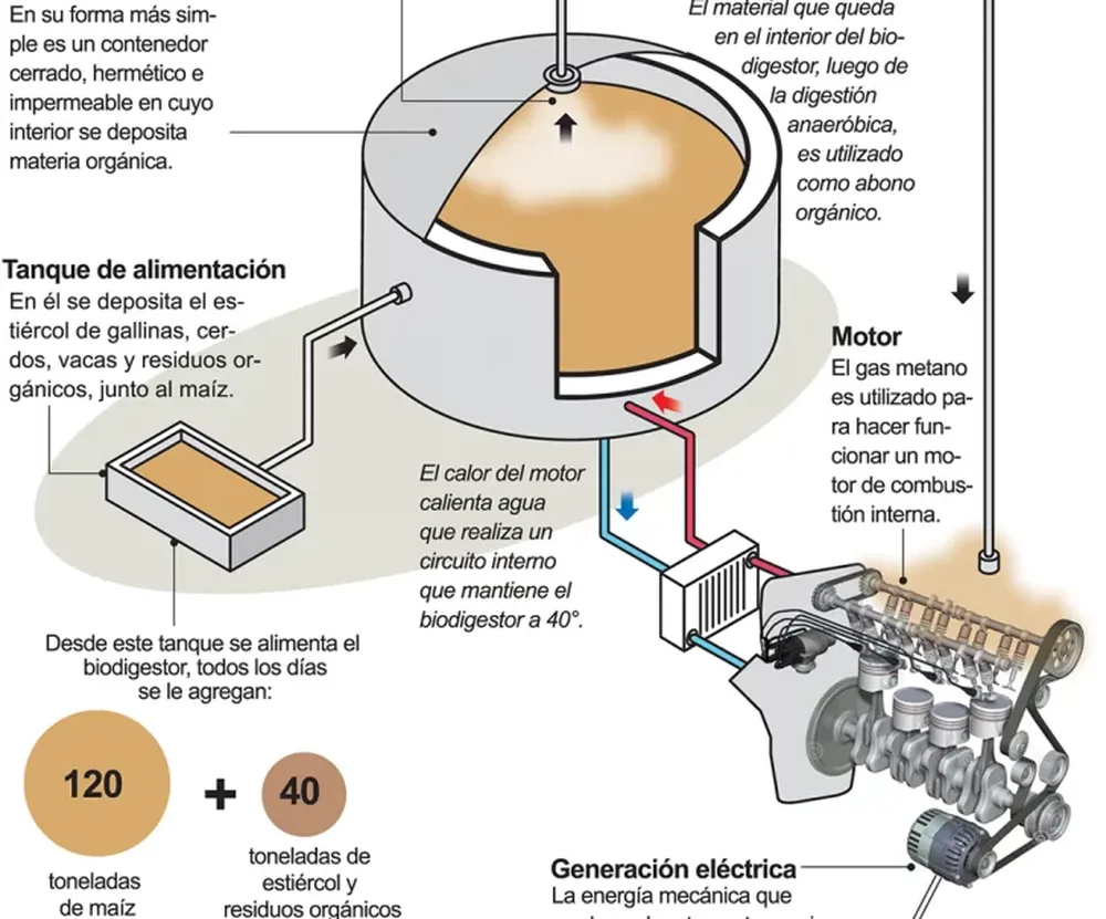 Invertirán 7,2 millones de dólares para generar energía con desechos que producen los animales