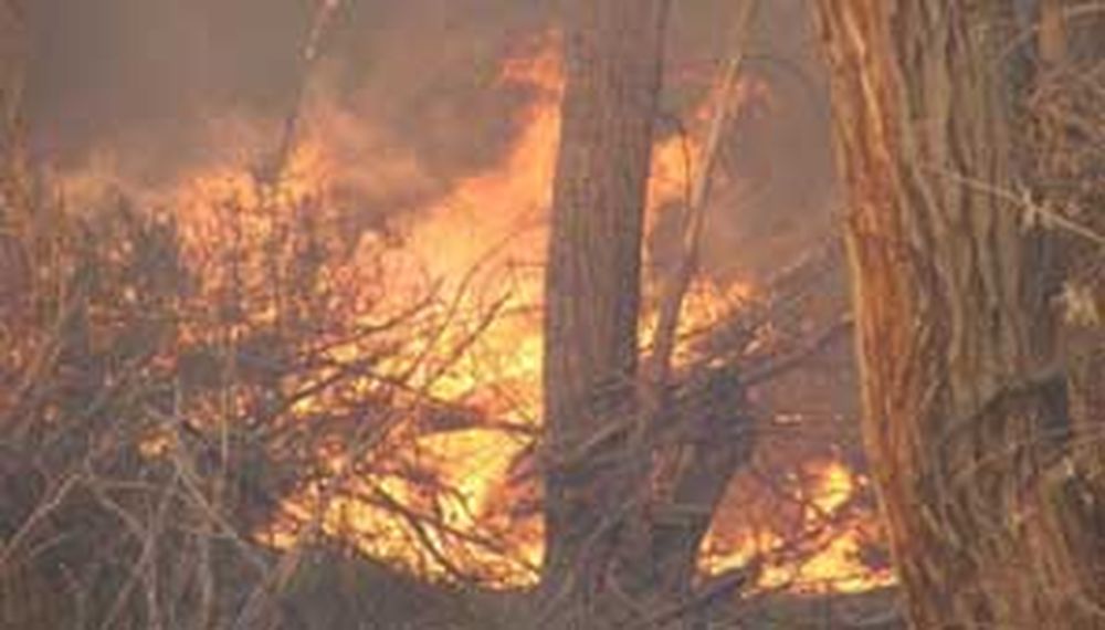 A un año del incendio en Guañizuil, aún no aparecen los responsables