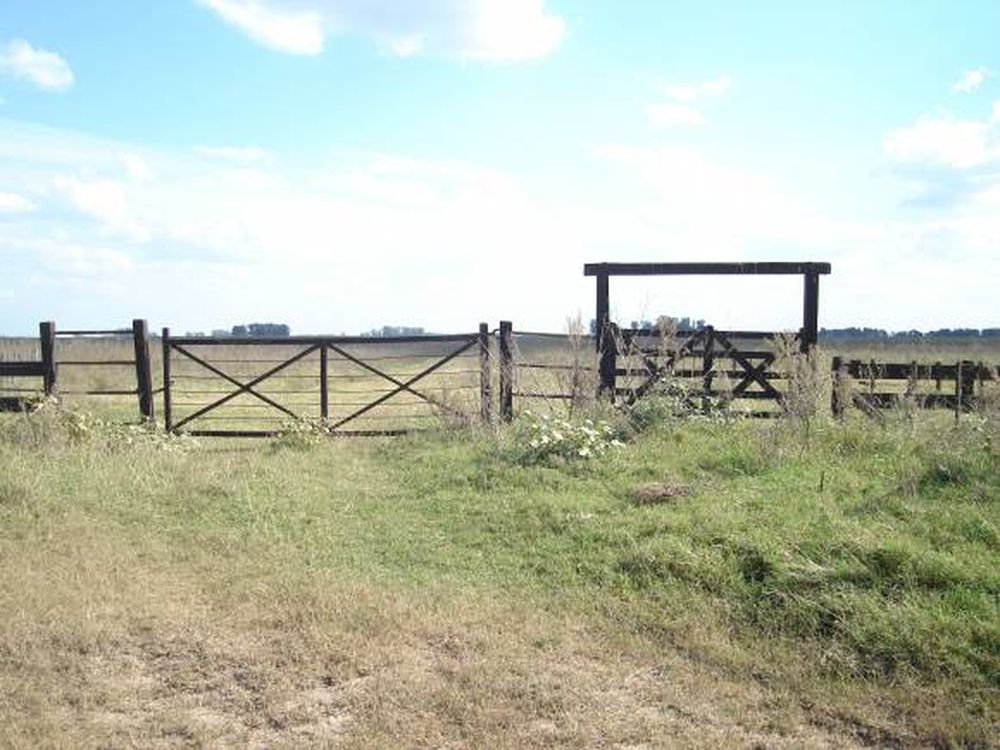 Cerro Vanguardia ayudará a crear un parque nacional