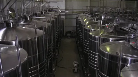 Antes de la desregulación, el INV se encargaba de controlar todo el proceso de producción de vinos.