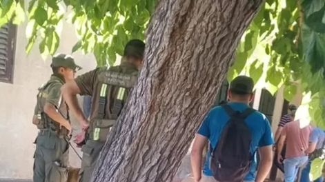 Tensión y persecución en Caucete: Gendarmería interceptó un paquete con 17 kilos de marihuana cerca del Correo Argentino