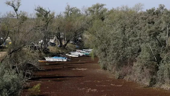 Piden ahorrar agua para consumo por la histórica bajante del Paraná