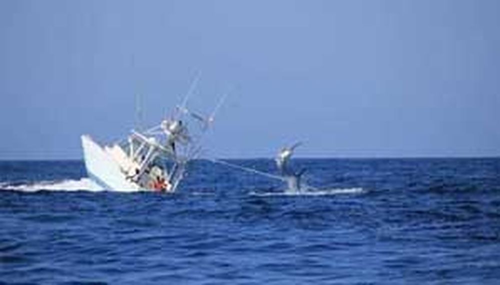 Pez hundió un barco