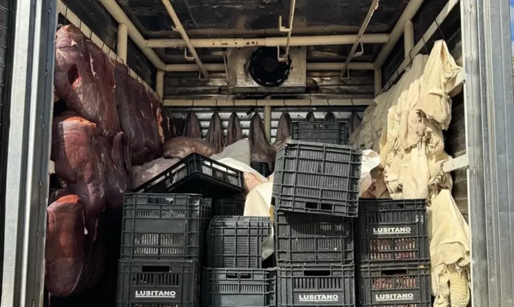 Imagen de la carga que llevaban las cuatro personas que quedaron detenidas.-