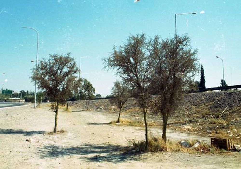 104 hectáreas de pulmón verde
