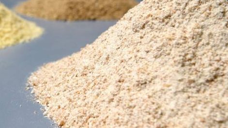 Propuestas sin gluten