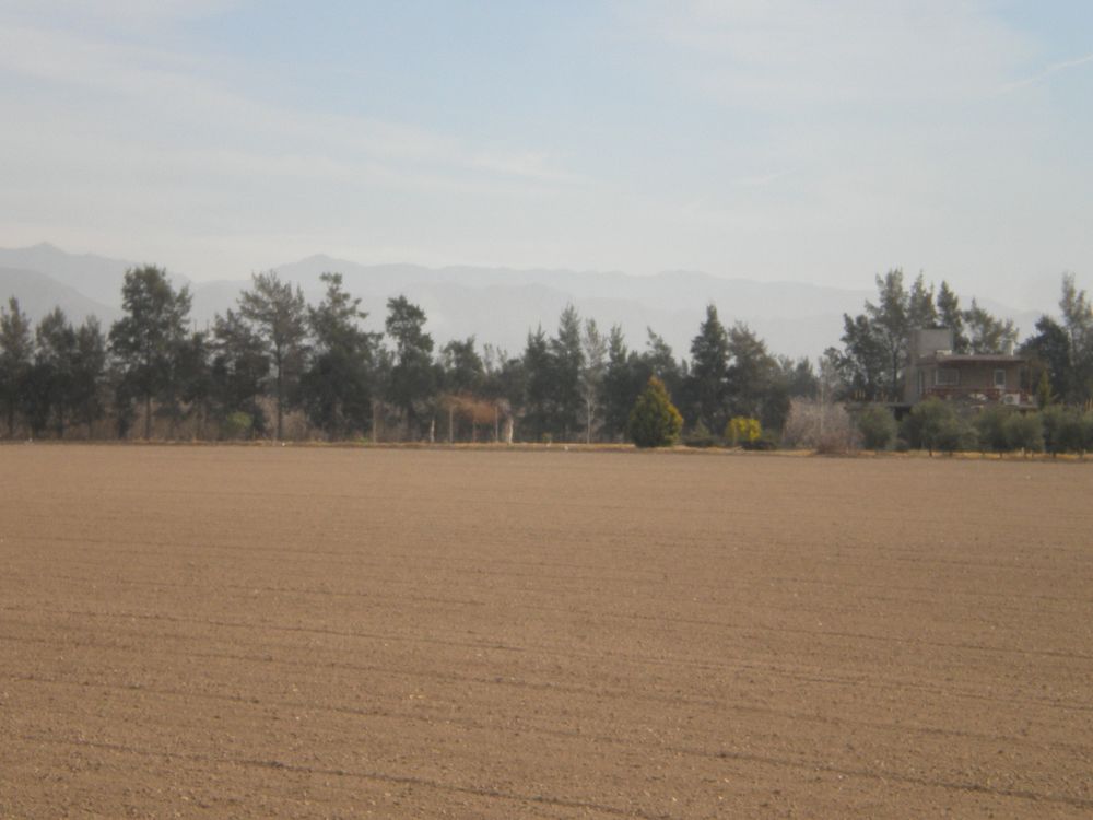 Nuevos materiales híbridos de sandías para nuestro país