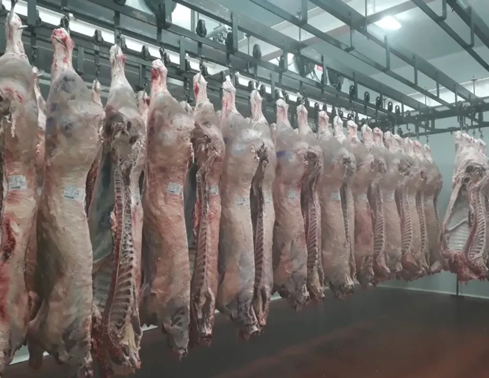 Gobierno lanzará un bono fiscal para bajar impuestos a industrias