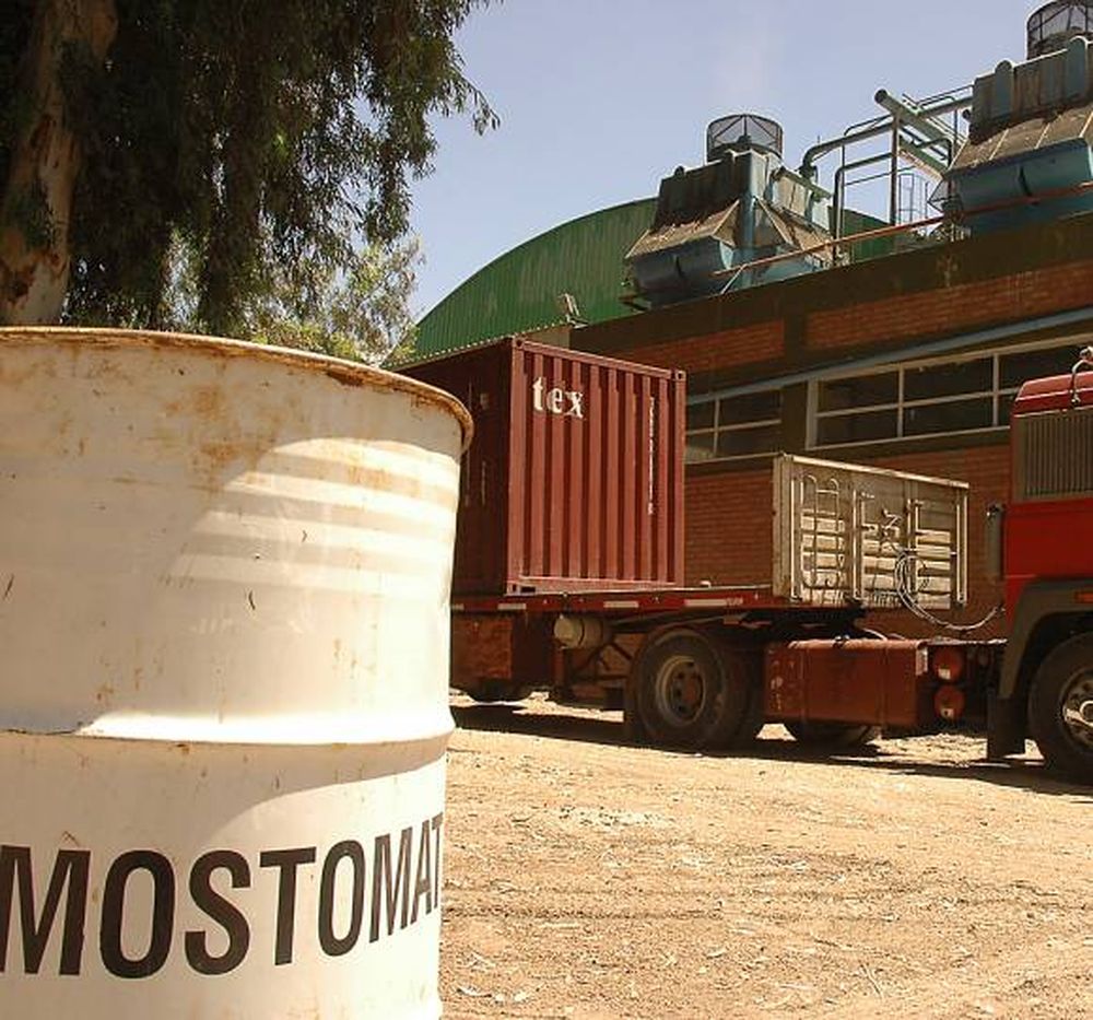 Mosto: Duplicarán las multas para aquellos que no cumplan