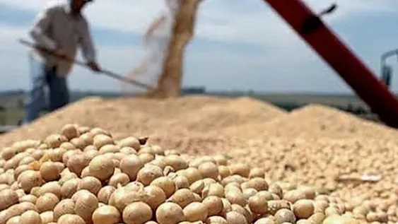 El 64% de los productores postergó sus inversiones