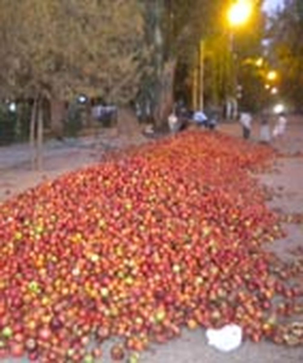 Controversias por las manzanas en Calingasta