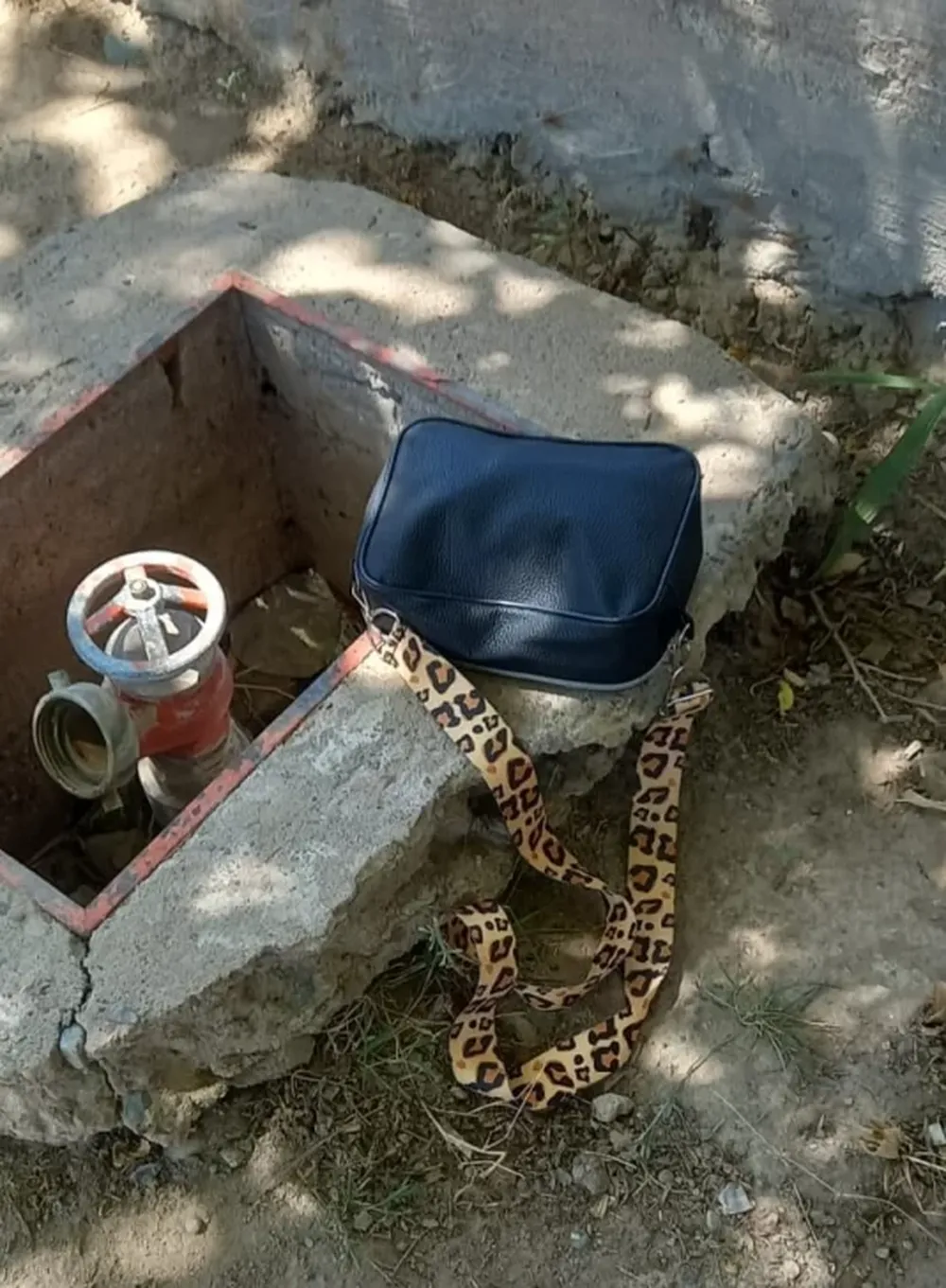 Robó la cartera de una portera en una escuela y lo atraparon tras una breve persecución