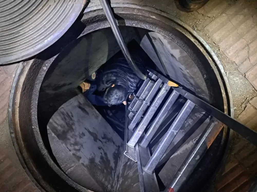El insólito escondite de un ladrón para escapar de la policía: terminó siendo rescatado por Bomberos